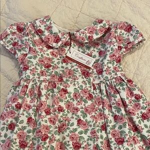 Trotters Alice Double Breasted Pink Rose Dress